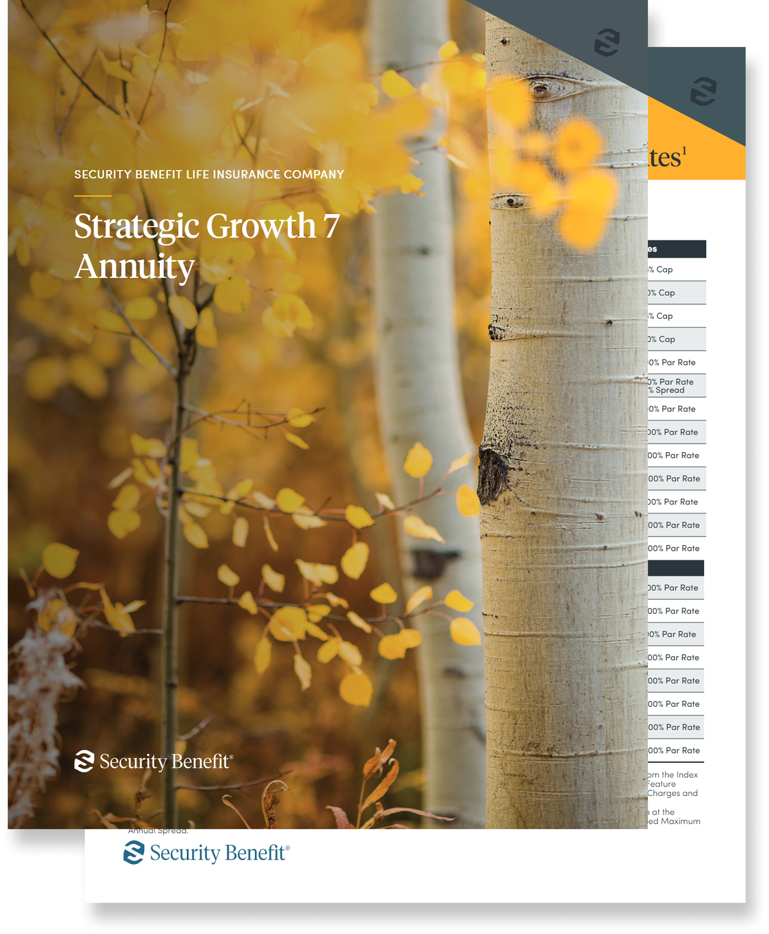 Strategic Growth 7 Graphic