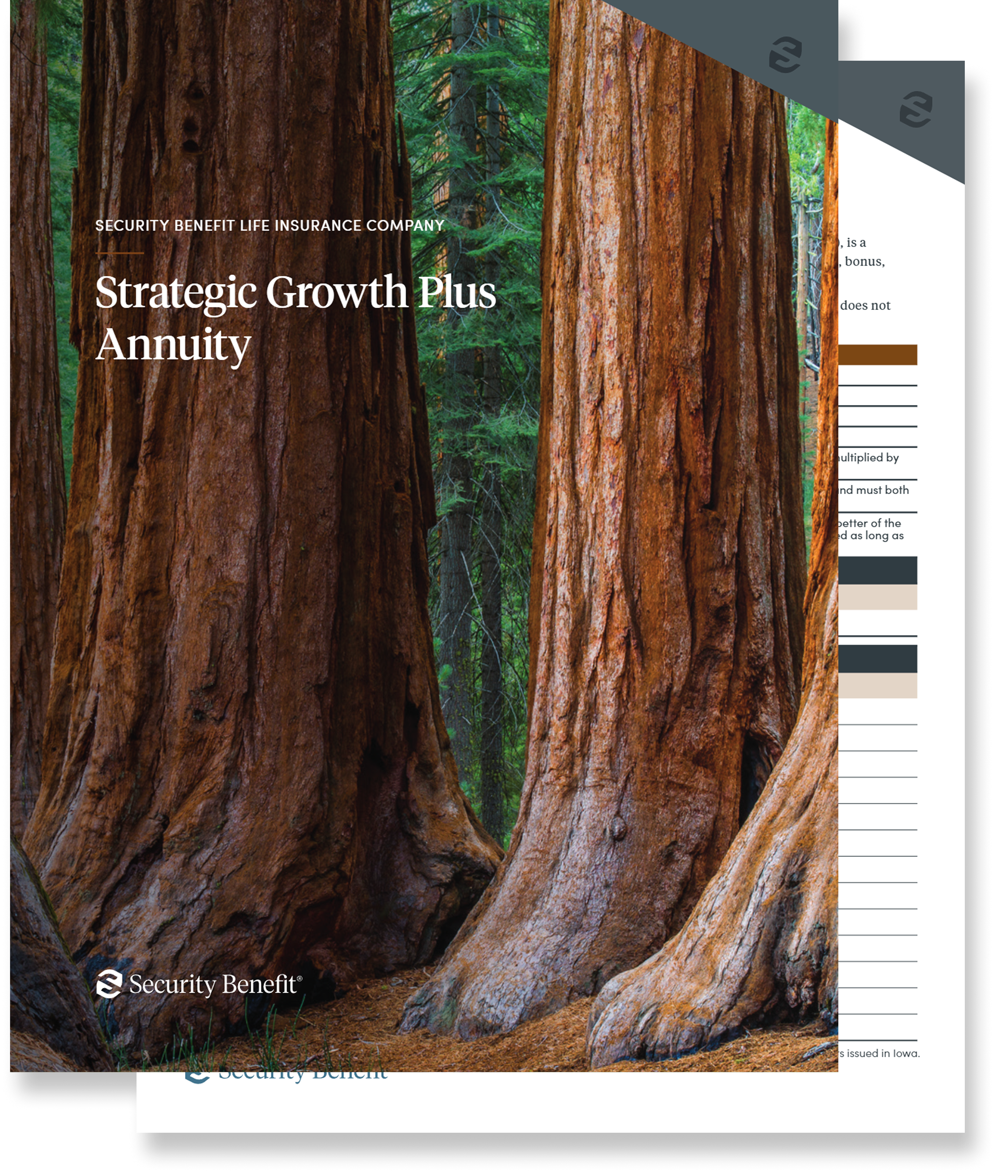 Strategic Growth Plus Graphic